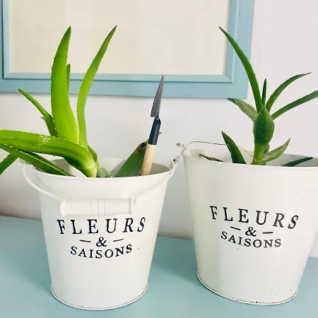 Lulu Marin 2 בית נופש