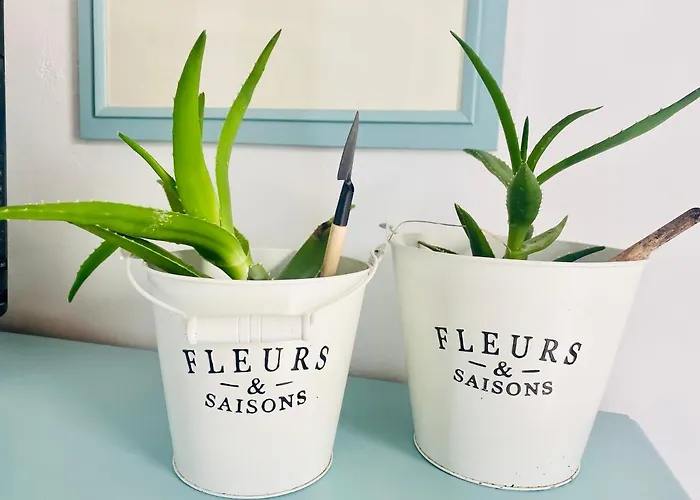 Lulu Marin 2 בית נופש